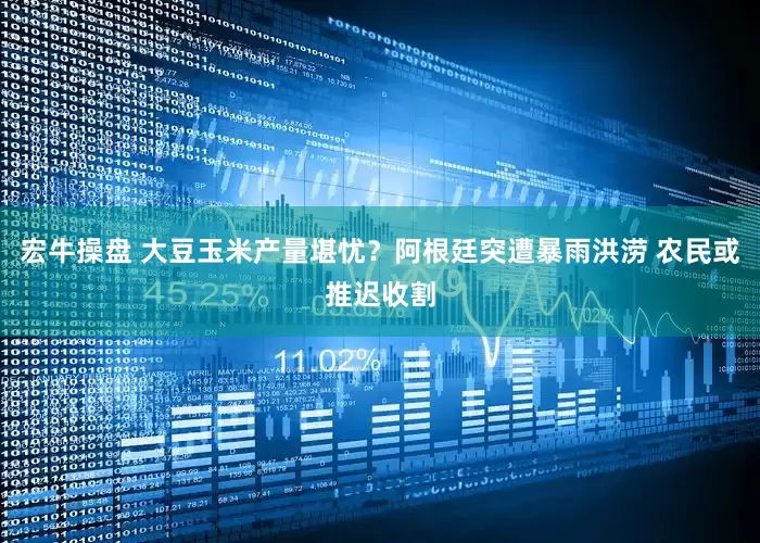 宏牛操盘 大豆玉米产量堪忧？阿根廷突遭暴雨洪涝 农民或推迟收割